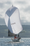 argento gbr5151c whyw17 thur gjmc 8845